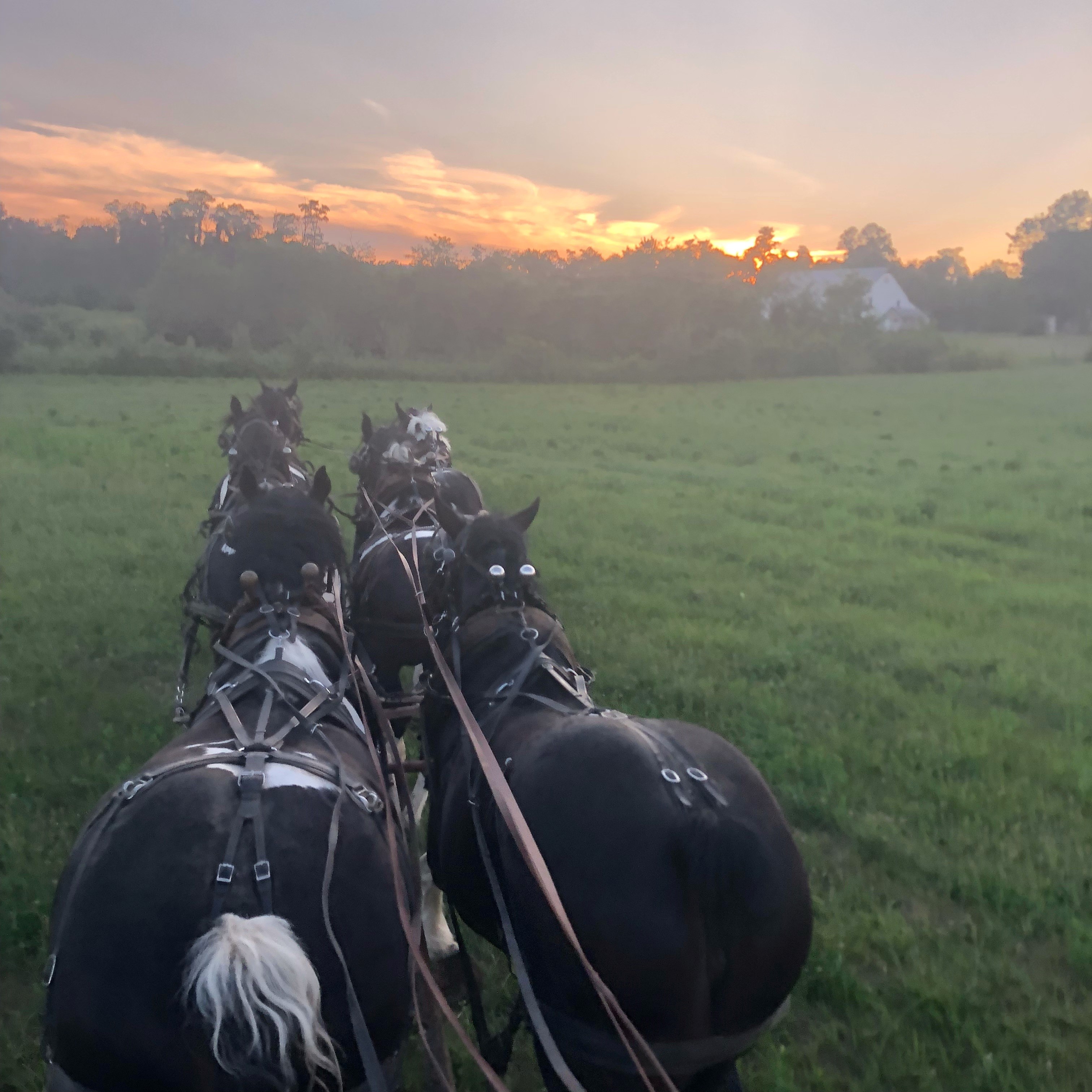 First Boy of the 2015 season!